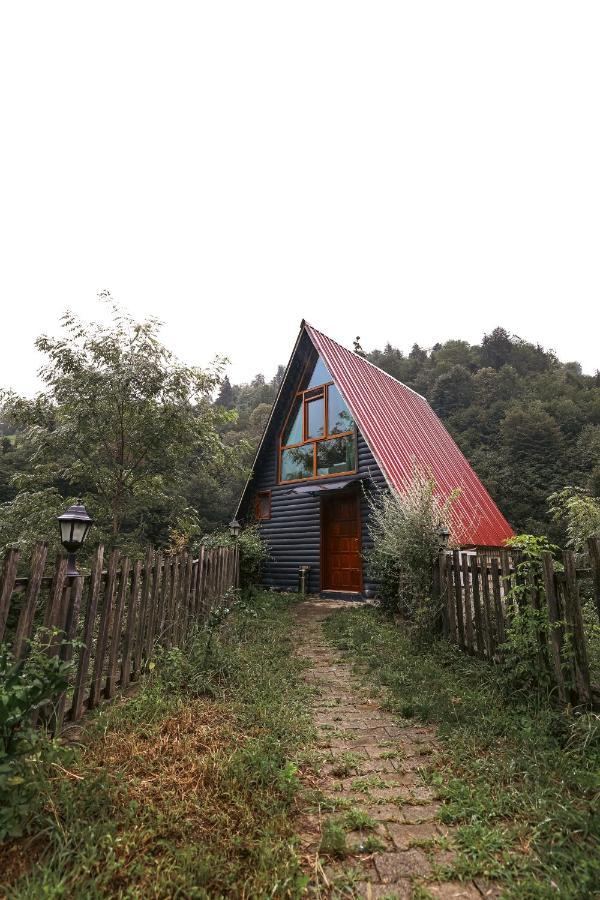 Bungalove Tatil Koeyue Çamlıhemşin Eksteriør billede